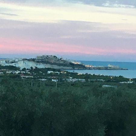 Azienda Agricola B&B Macchiaria Βιέστε Εξωτερικό φωτογραφία