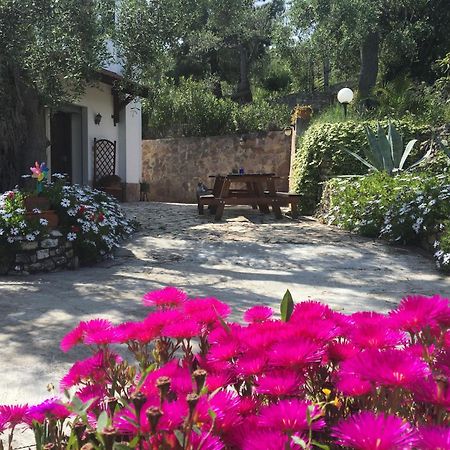 Azienda Agricola B&B Macchiaria Βιέστε Εξωτερικό φωτογραφία