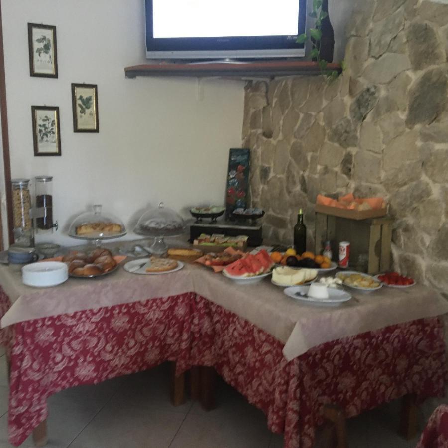 Azienda Agricola B&B Macchiaria Βιέστε Εξωτερικό φωτογραφία