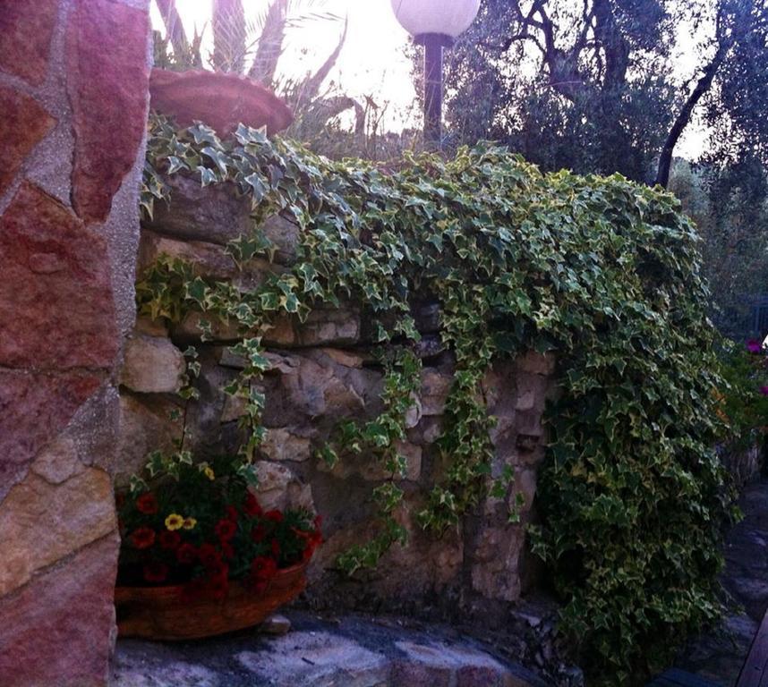 Azienda Agricola B&B Macchiaria Βιέστε Εξωτερικό φωτογραφία