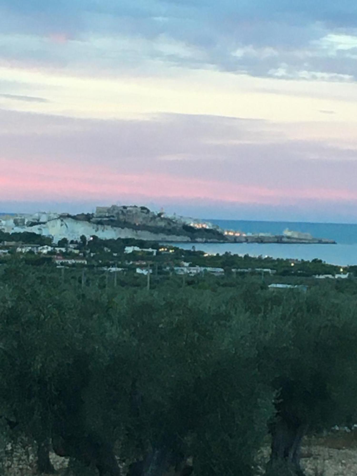 Azienda Agricola B&B Macchiaria Βιέστε Εξωτερικό φωτογραφία