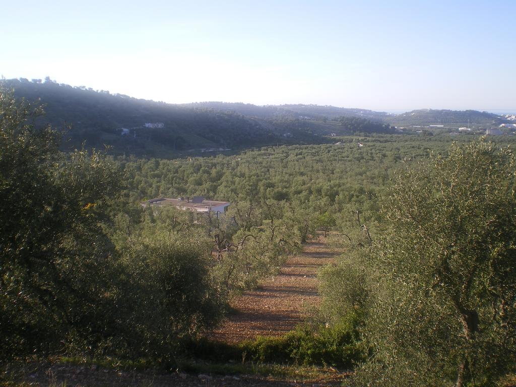 Azienda Agricola B&B Macchiaria Βιέστε Εξωτερικό φωτογραφία