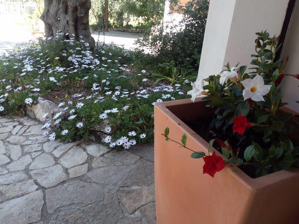 Azienda Agricola B&B Macchiaria Βιέστε Εξωτερικό φωτογραφία