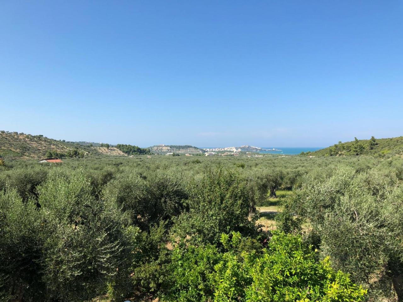 Azienda Agricola B&B Macchiaria Βιέστε Εξωτερικό φωτογραφία