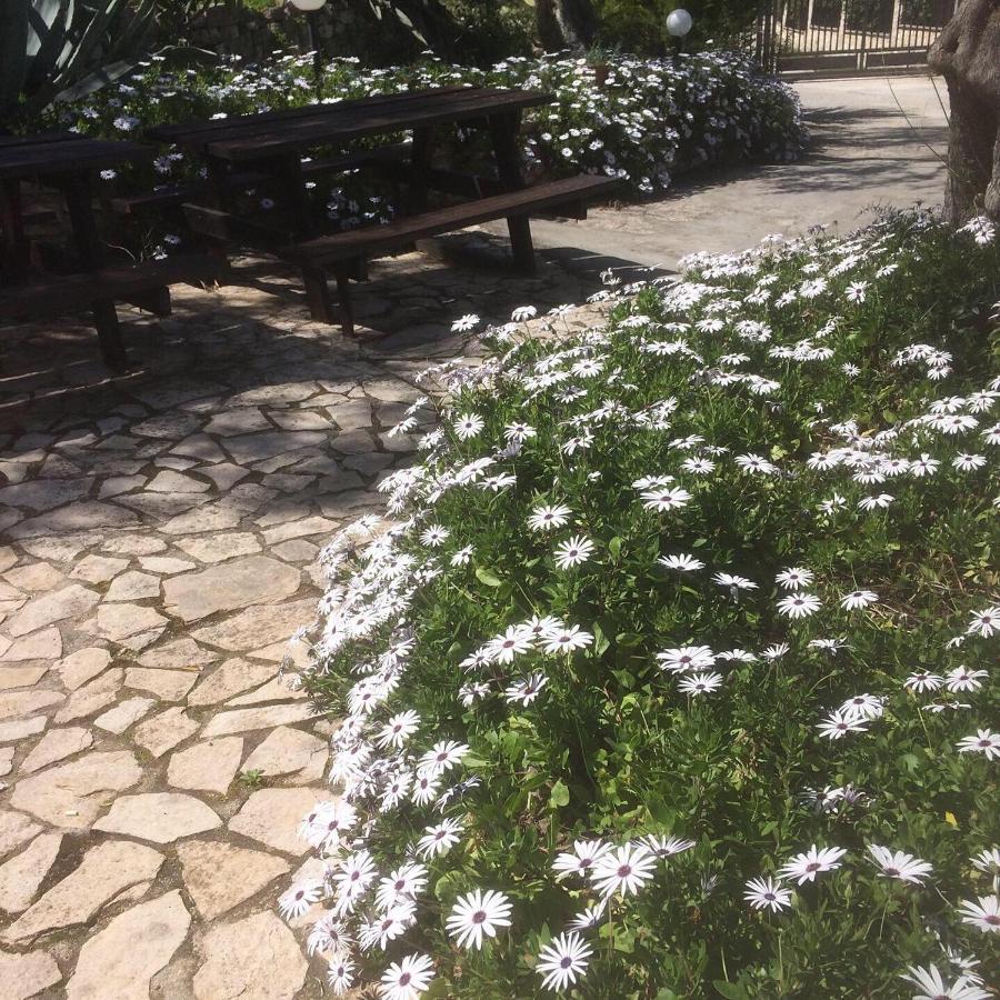 Azienda Agricola B&B Macchiaria Βιέστε Εξωτερικό φωτογραφία